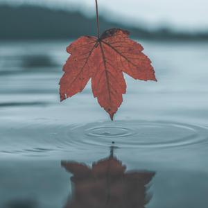 寡妇遗像前被肉波多野
